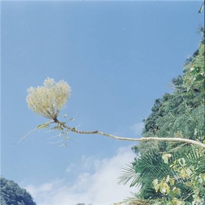 半岛app体育官网